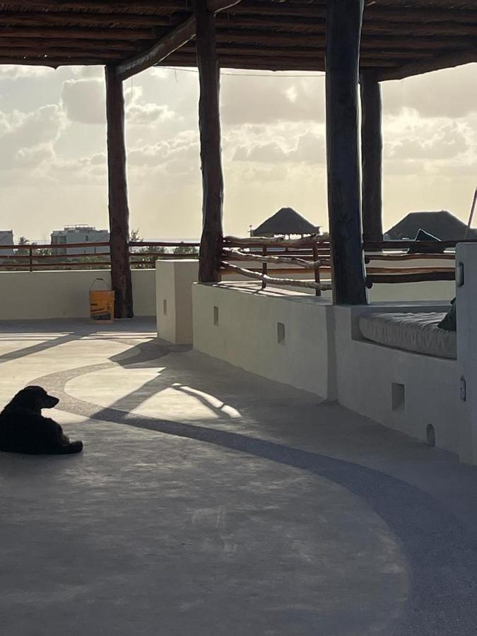 Casa Molly Lägenhet Isla Holbox Exteriör bild