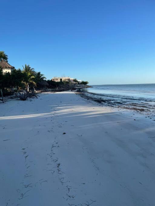 Casa Molly Lägenhet Isla Holbox Exteriör bild