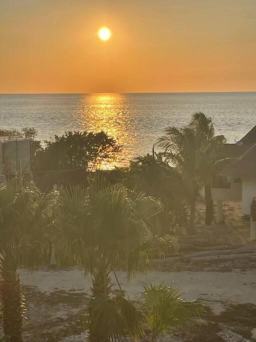 Casa Molly Lägenhet Isla Holbox Exteriör bild